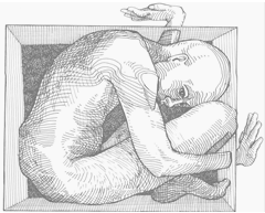 Man inside of Box
